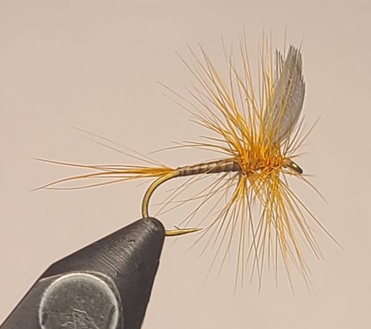 Ginger quill fly pattern tied by Dave Matthews