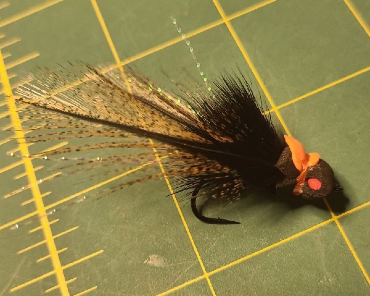 Cicada fly fly pattern tied by Dave Matthews