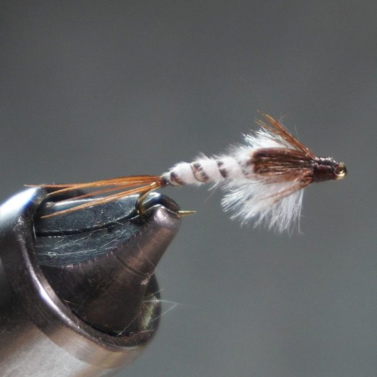 Mayfly Nymph fly pattern tied by Christian Andrews
