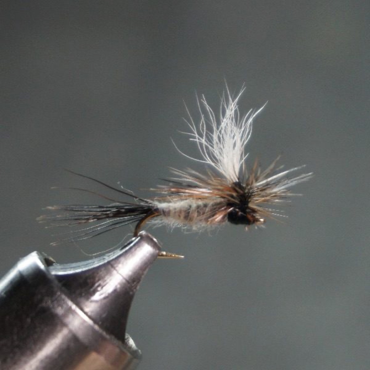 Adams Parachute fly pattern tied by Christian Andrews