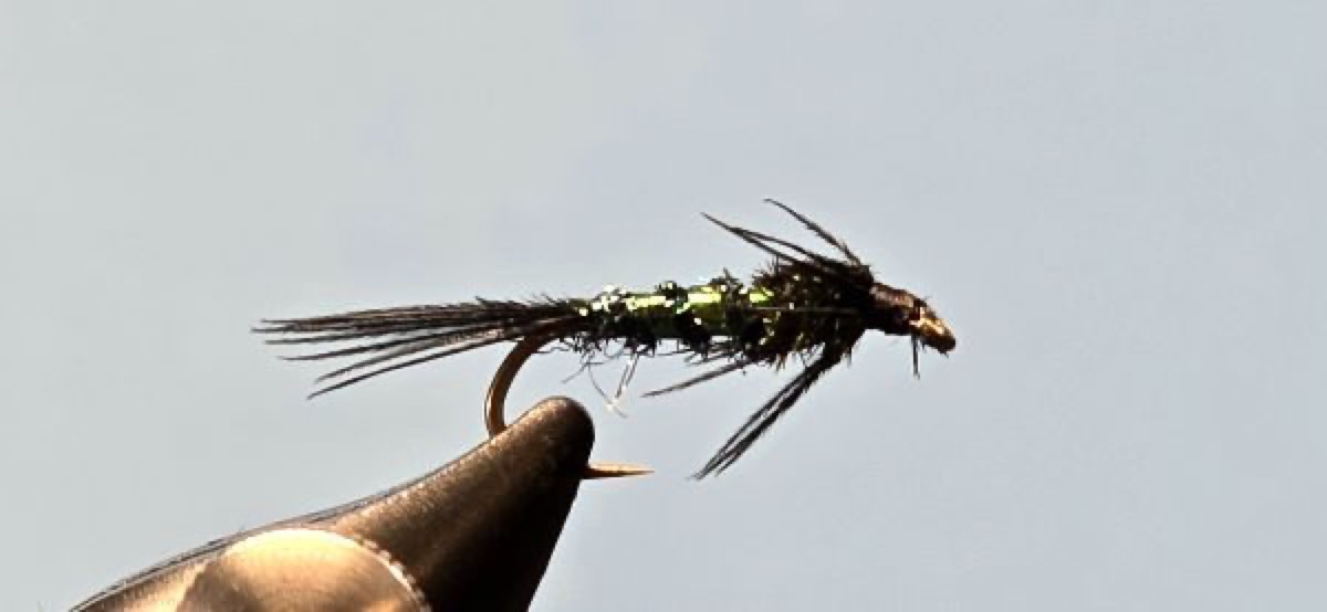 Darrell's Winter Nymph fly pattern tied by Darrell Olson
