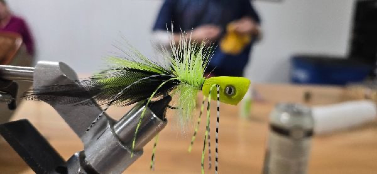 Surface Seducer Bass Bug fly pattern tied by Darrell Olson