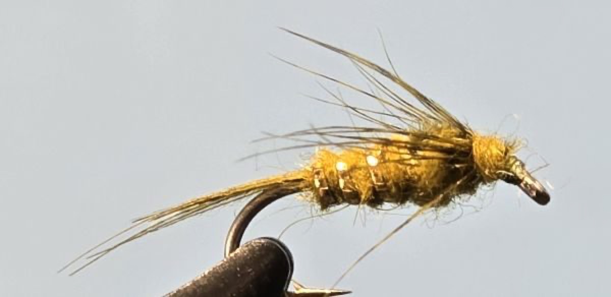 AP Nymph fly pattern tied by Darrell Olson