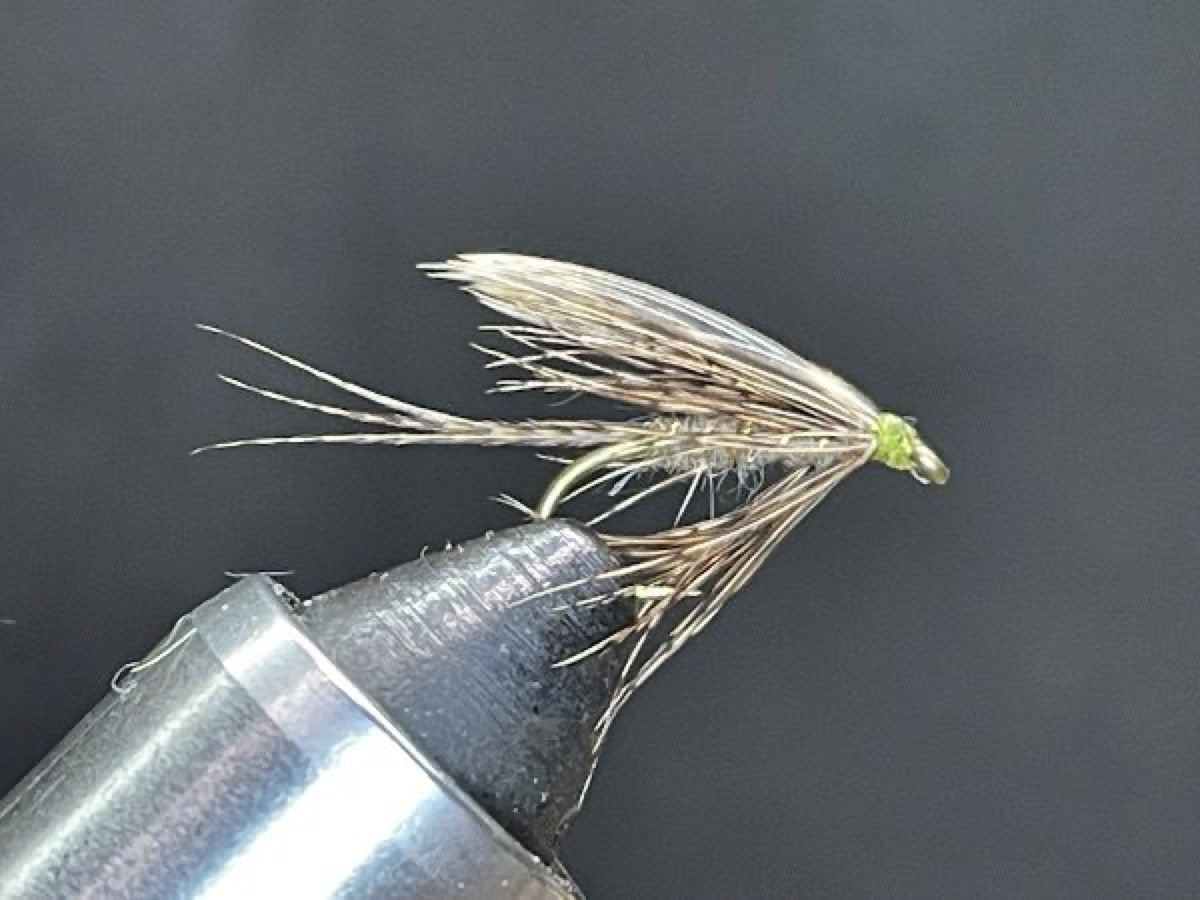 March Brown fly pattern tied by Brent Jones
