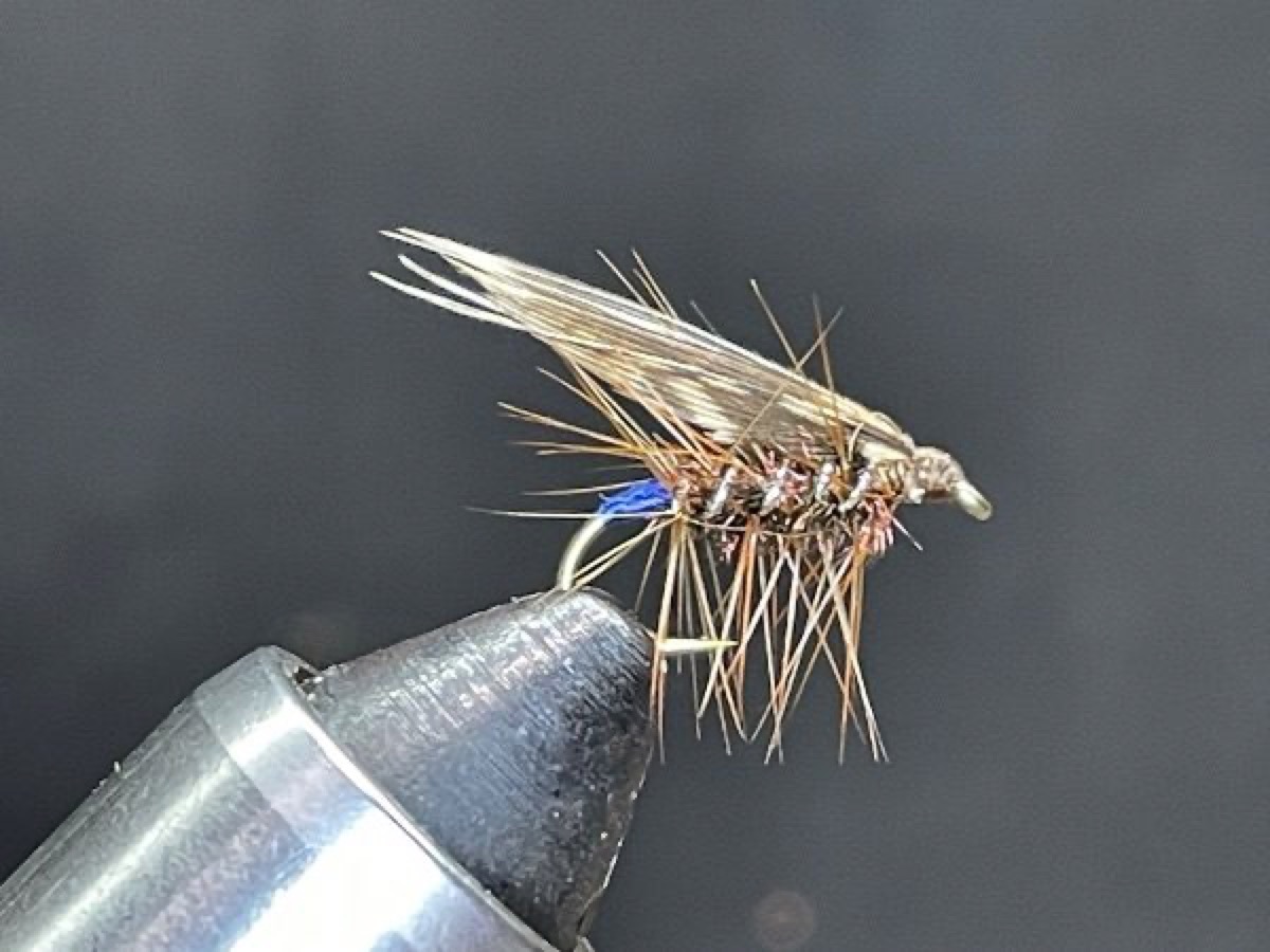 Matt Gorman fly pattern tied by Brent Jones