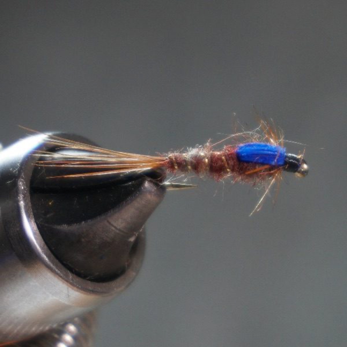 Atherton Dark Nymph (#3) fly pattern tied by Christian Andrews