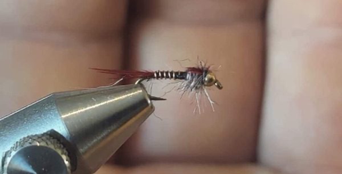 Over-extended-PT fly pattern tied by James R Bass