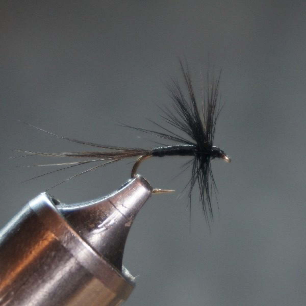 Black Angel fly pattern tied by Christian Andrews