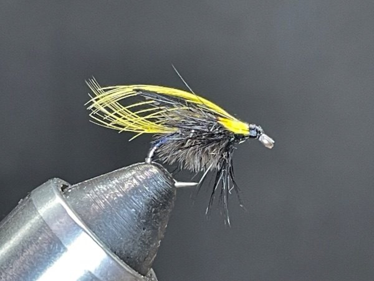 Kingsmill (variant) fly pattern tied by Brent Jones