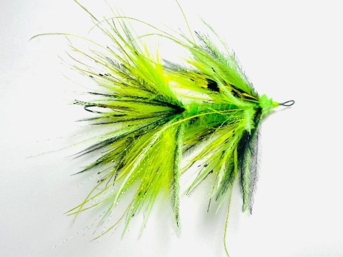 Chartreuse G.P. Tippet Intruder (variant) fly pattern tied by Brent Jones