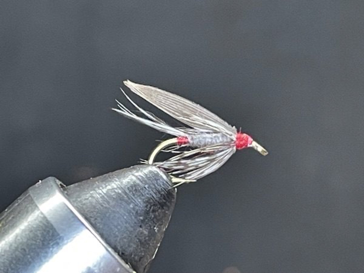 Iron Blue Dun fly pattern tied by Brent Jones