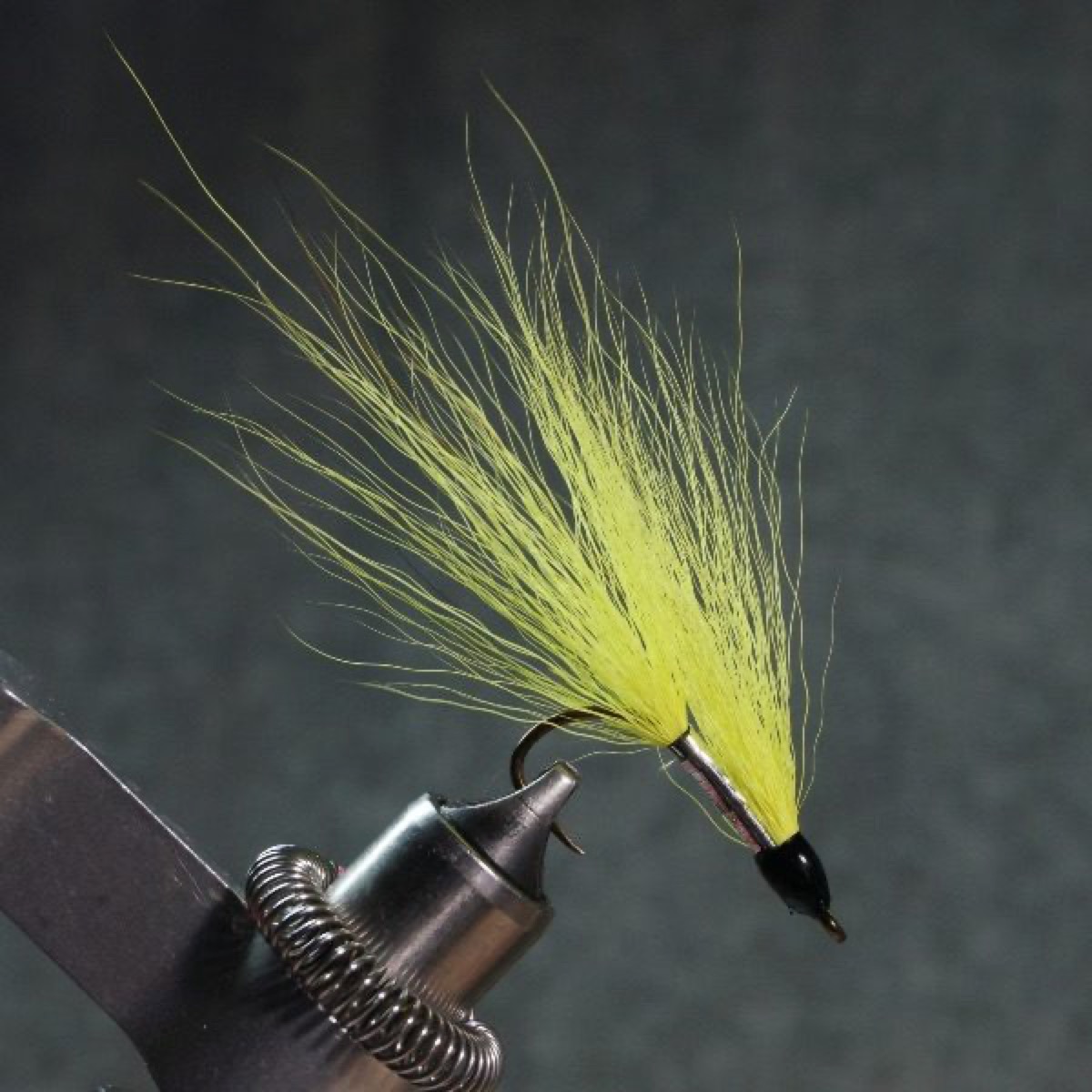 Honey Blonde fly pattern tied by Christian Andrews