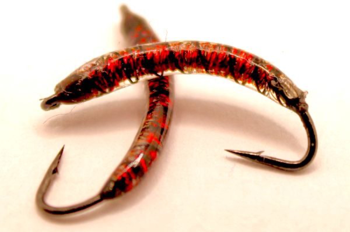 The MicroGlint Bloodworm fly pattern tied by Rick Passek