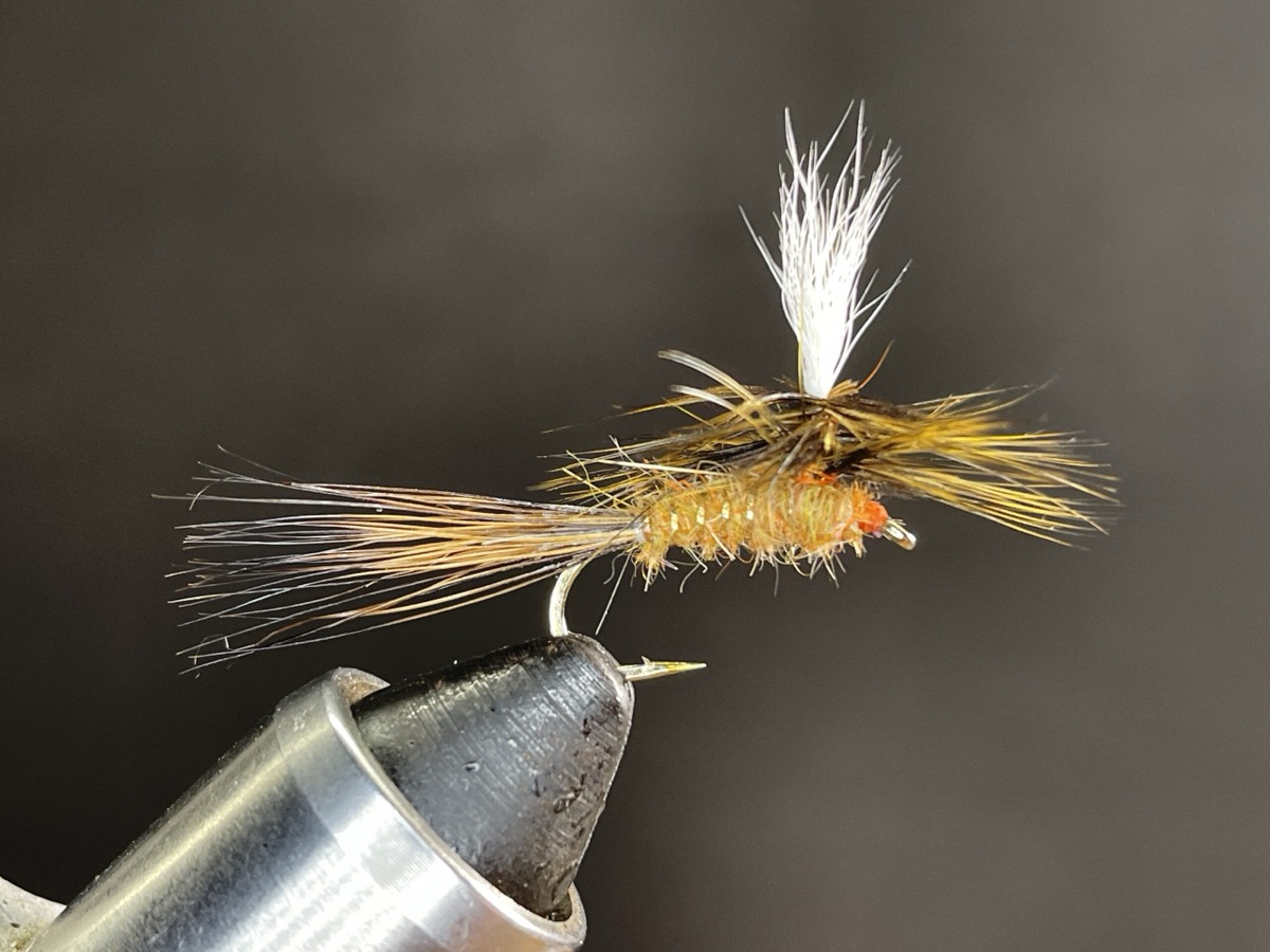 Brindle Chute fly pattern tied by Brent Jones