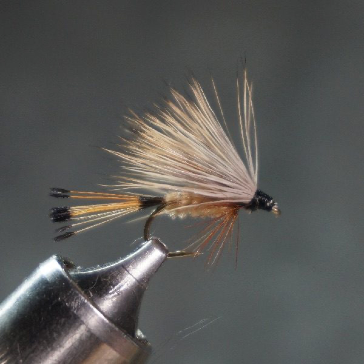 Buszek Hopper fly pattern tied by Christian Andrews