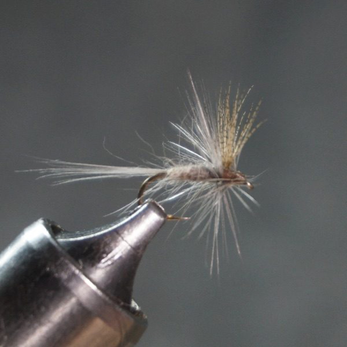 Cross Special fly pattern tied by Christian Andrews