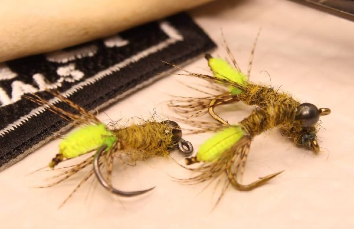 Peeping Caddis fly pattern tied by Rick Passek