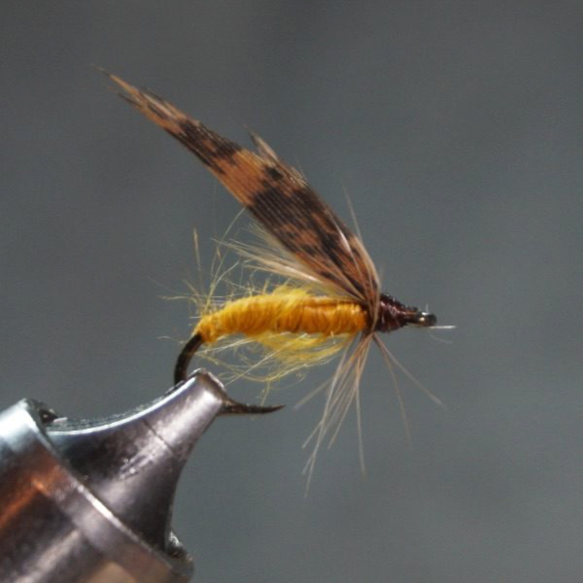 Cow Dung fly pattern tied by Christian Andrews