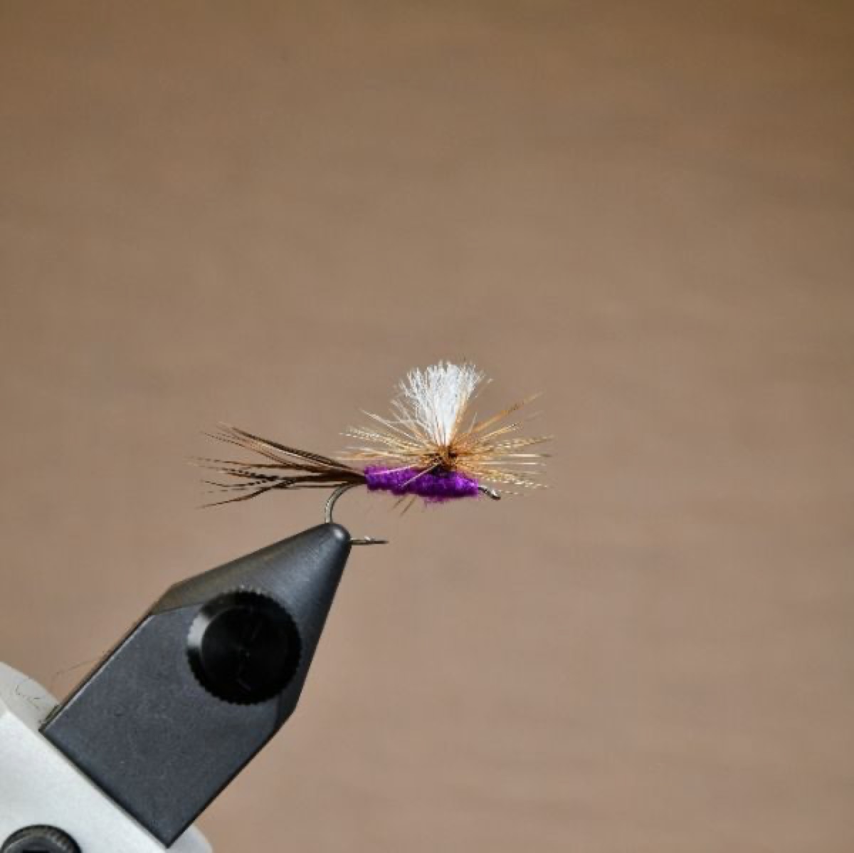 Purple Haze (variant) fly pattern tied by Shayne Avison
