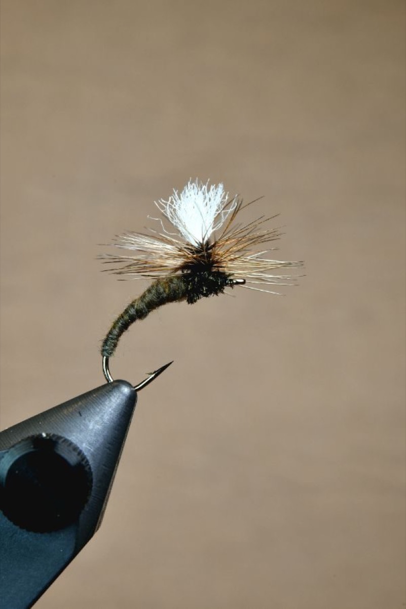 Klinkhammer Special fly pattern tied by Shayne Avison