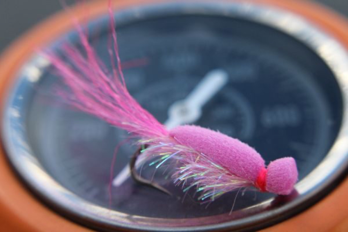 The Pink Killer (Gurgler) fly pattern tied by Rick Passek