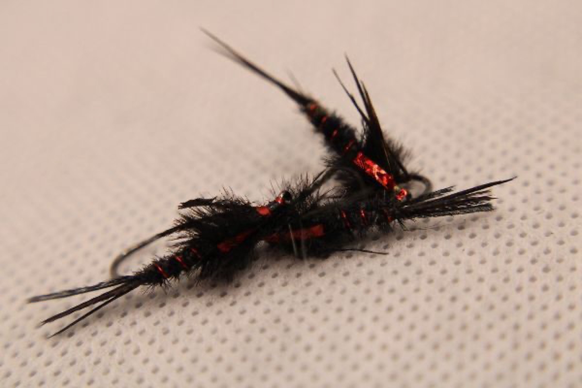 Rick's Lil Devil fly pattern tied by Rick Passek