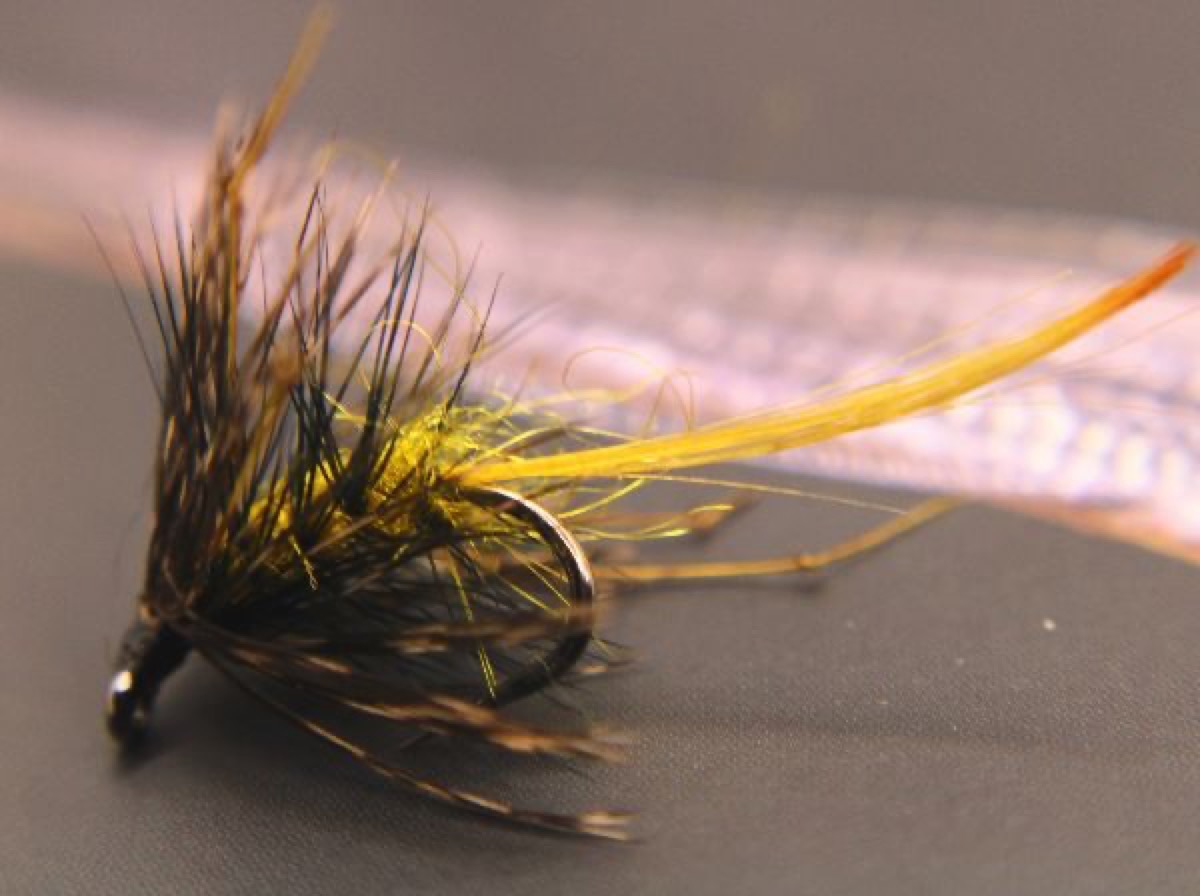 The Golden Dabbler fly pattern tied by Rick Passek
