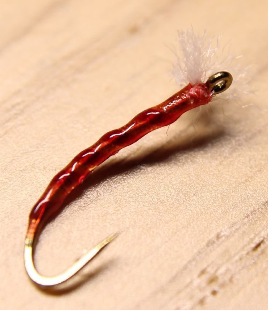 The BodyGlass Bloodworm fly pattern tied by Rick Passek