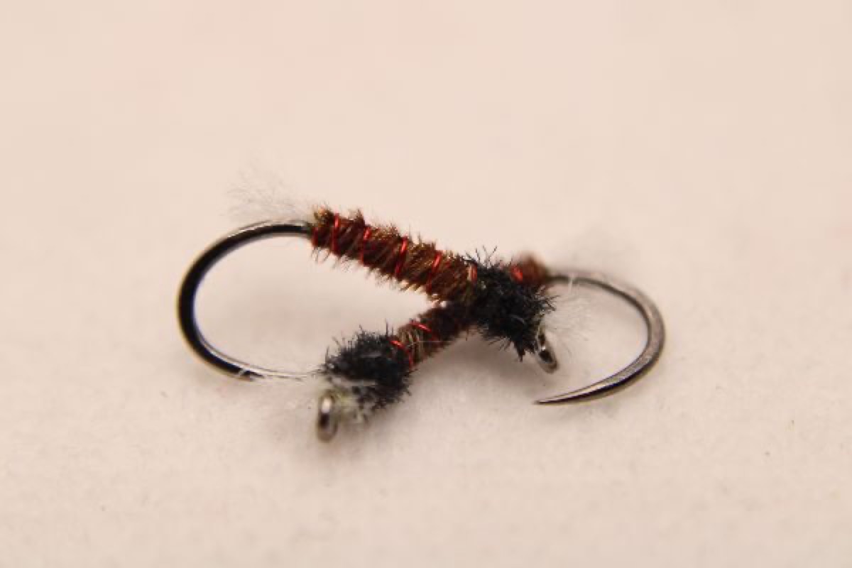Brian Chan's Pheasant Midge fly pattern tied by Rick Passek