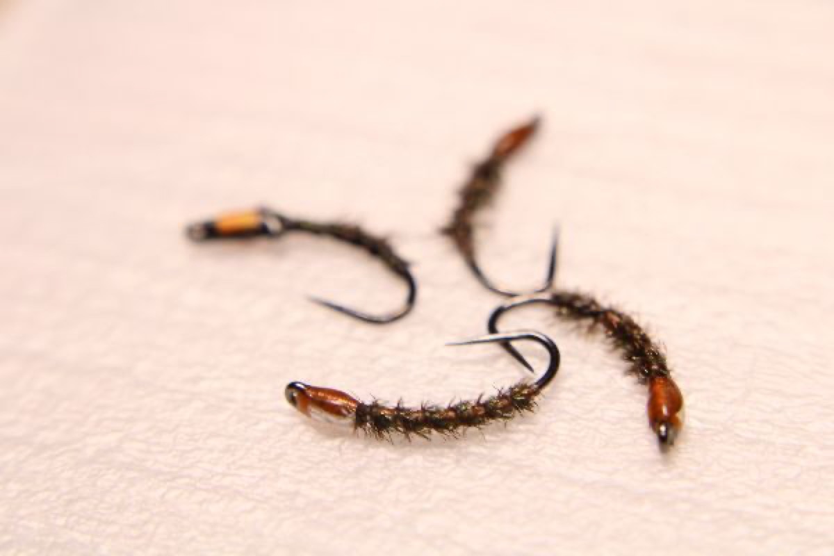 The Peacock Buzzer fly pattern tied by Rick PSSEK