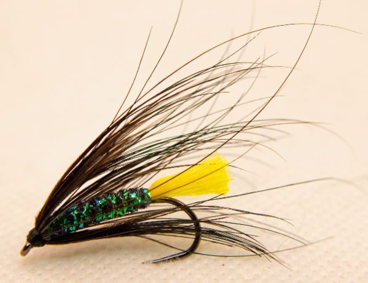 Yellow Butt Cary Special fly pattern tied by Rick Passek