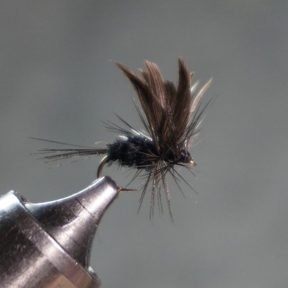 Black Gnat fly pattern tied by Christian Andrews