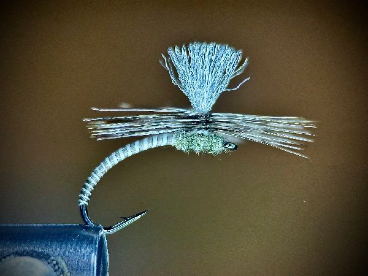 Dunn Moose Bell Klinhammer fly pattern tied by Ryan Storch