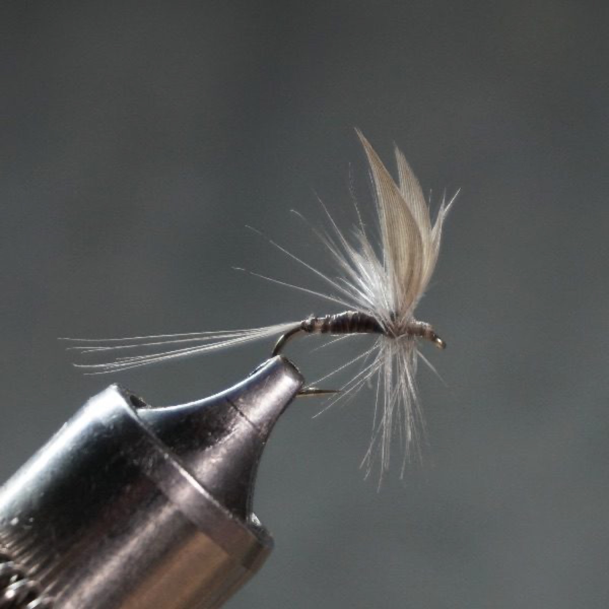 Blue Quill fly pattern tied by Christian Andrews