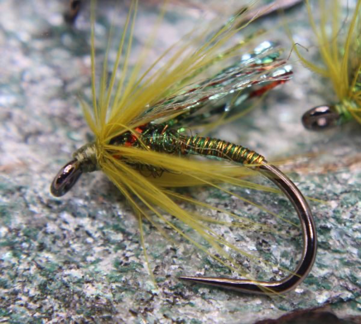 The Sparlke Spider fly pattern tied by Rick Passek