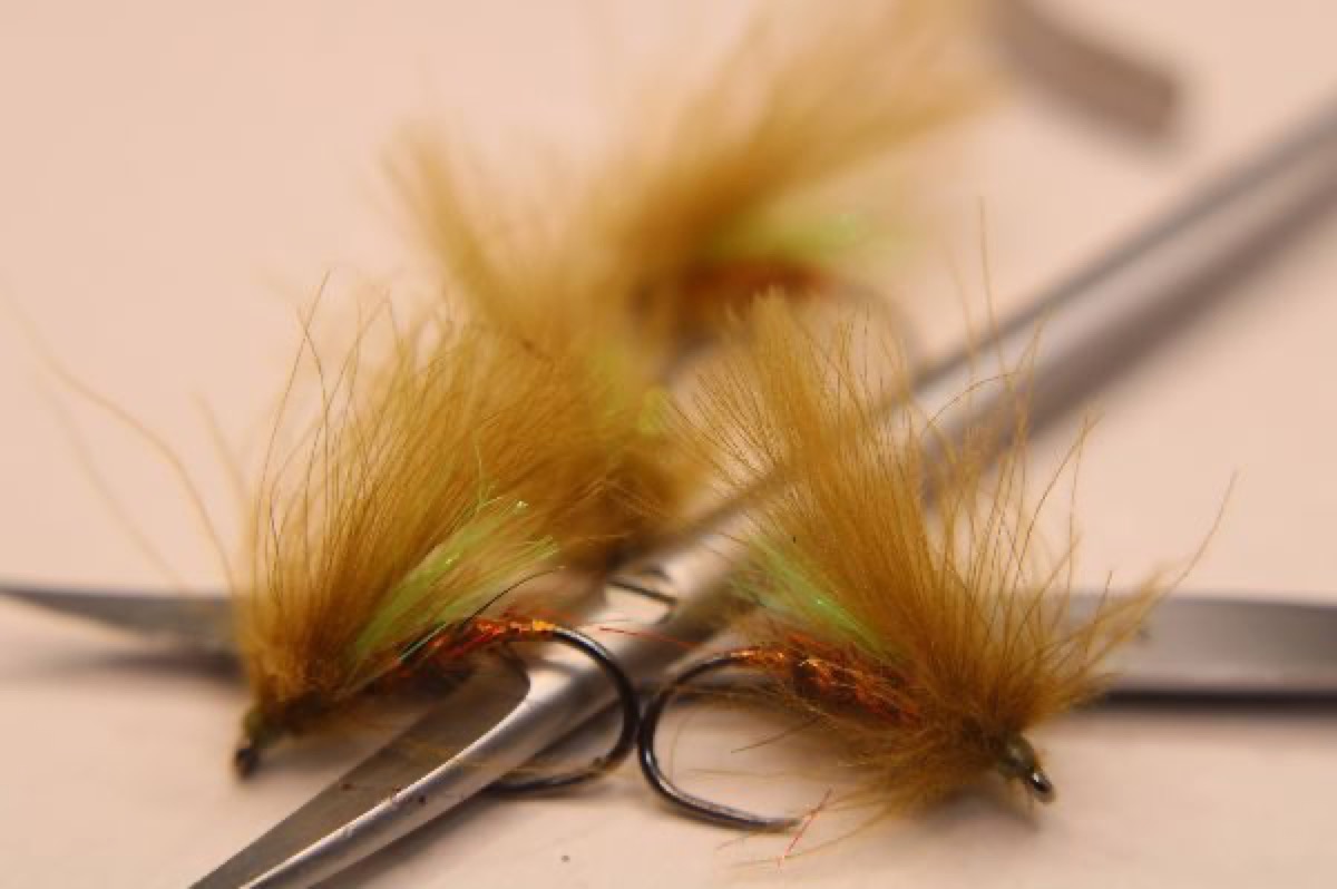 Rick's CDC Sedge fly pattern tied by Rick Passek