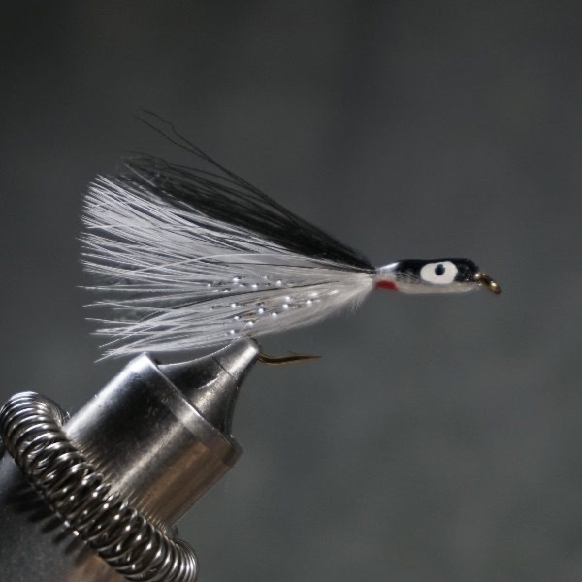 Marabou Shiner (Thunder Creek Series) fly pattern tied by Christian Andrews