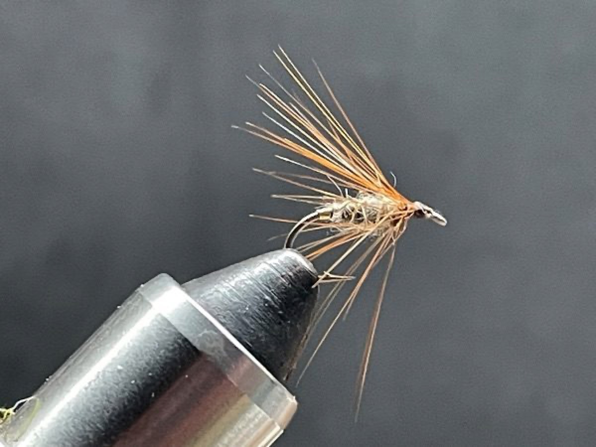 Hares Ear & Brown fly pattern tied by Brent Jones