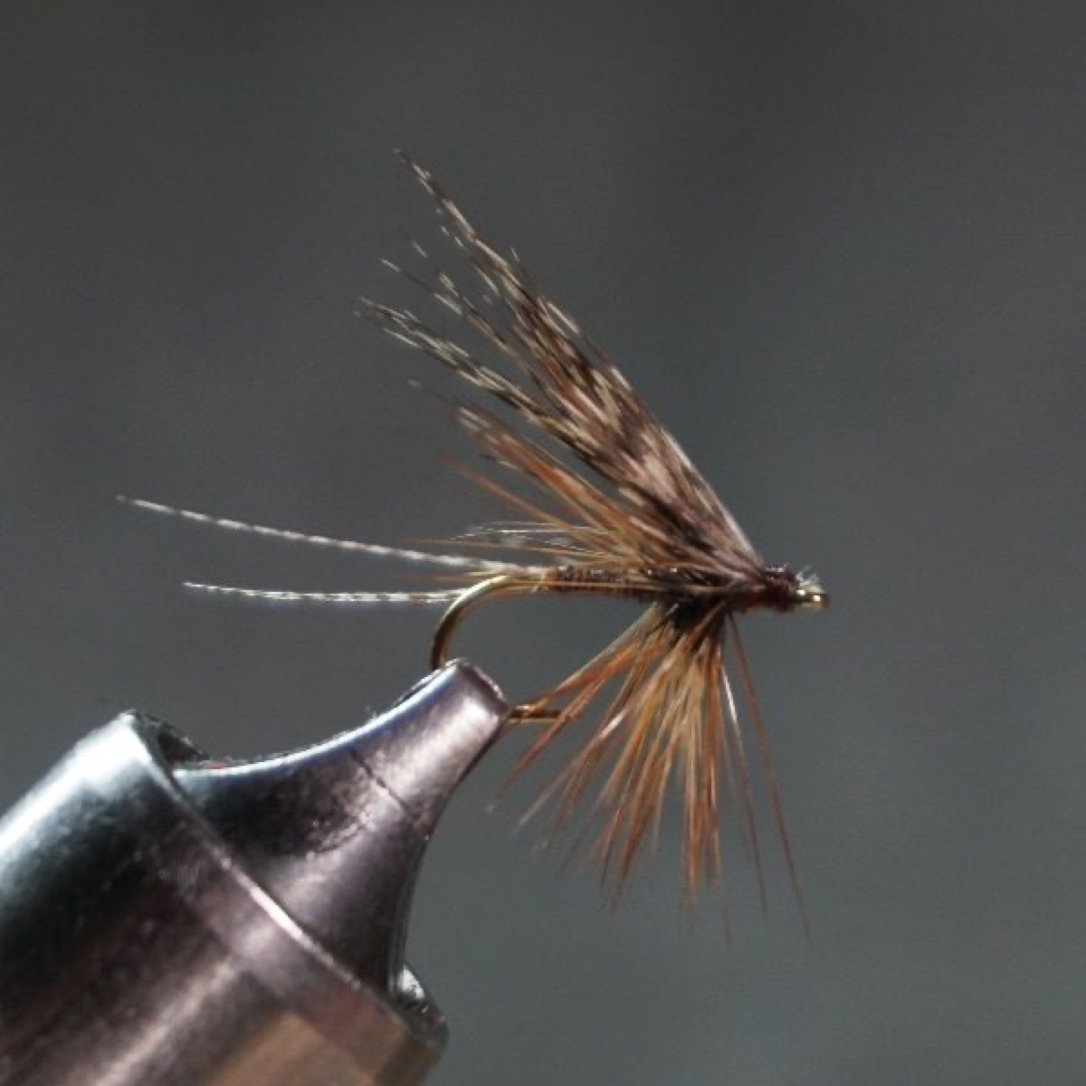 Equinox Gnat fly pattern tied by Christian Andrews