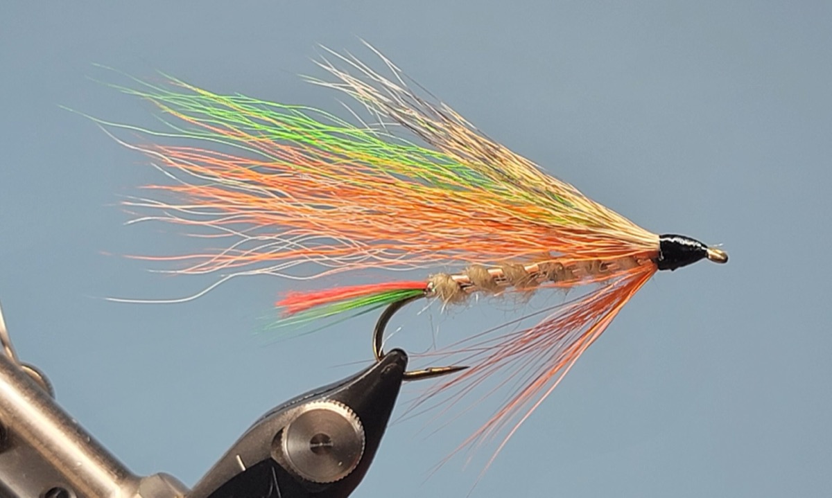 Little Brook Trout fly pattern tied by Darrell Olson