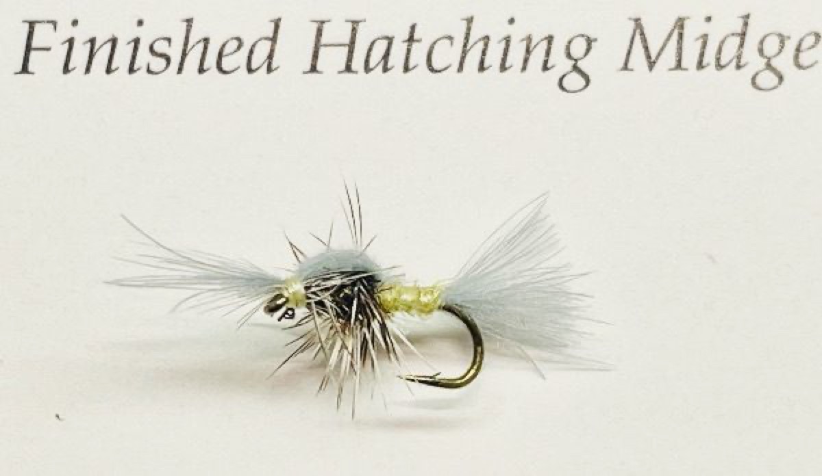 Hatching Midge fly pattern tied by Brent Jones