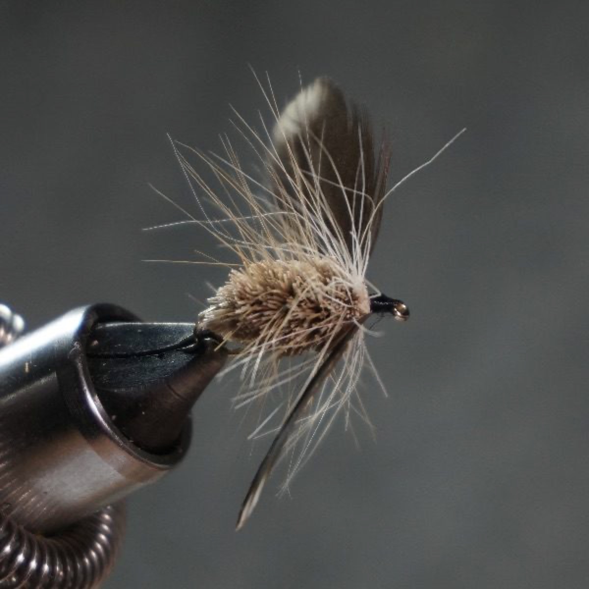 Harvey’s Night Fly - variant fly pattern tied by Christian Andrews