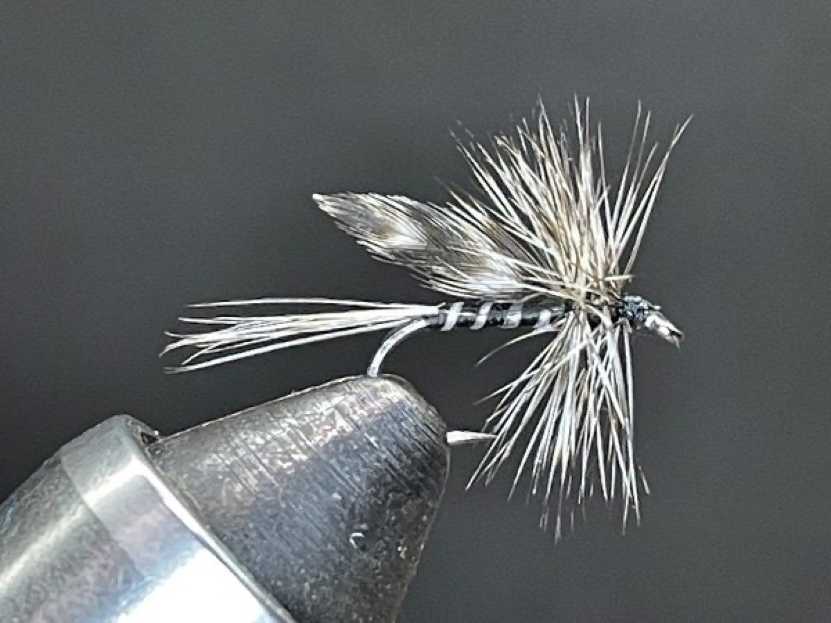 California Mosquito fly pattern tied by Brent Jones