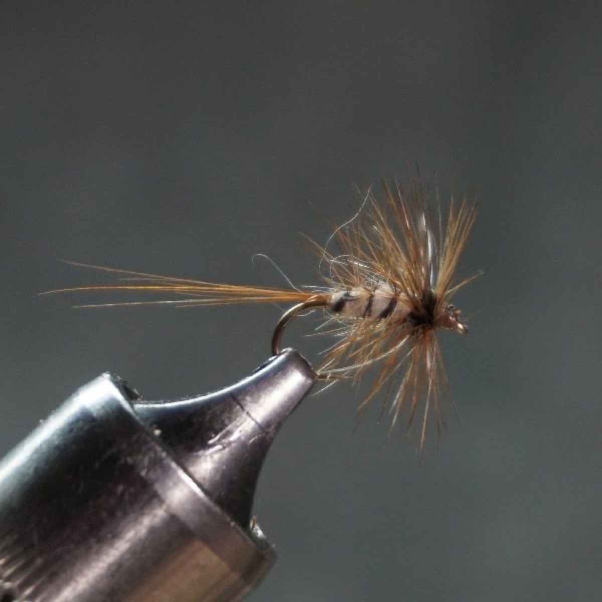 Cochy Knight fly pattern tied by Christian Andrews