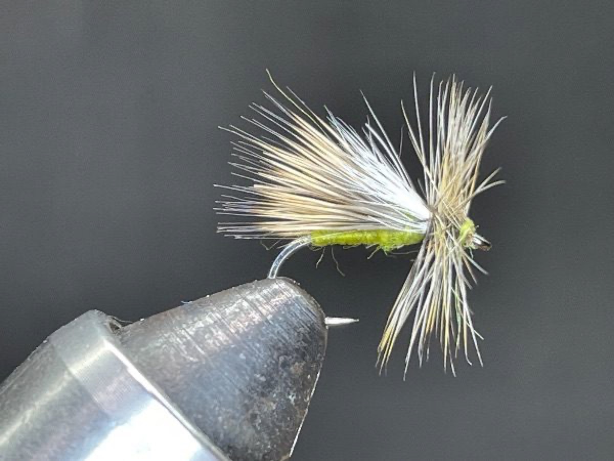 Chucks Casdis Variant (variant of the variant) fly pattern tied by Brent Jones