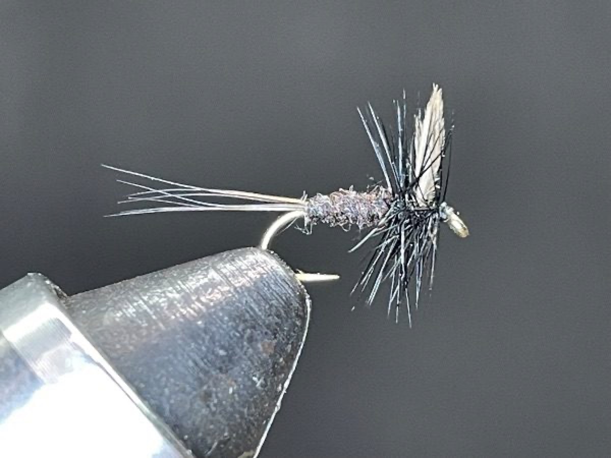 Black Gnat (front wing) fly pattern tied by Brent Jones