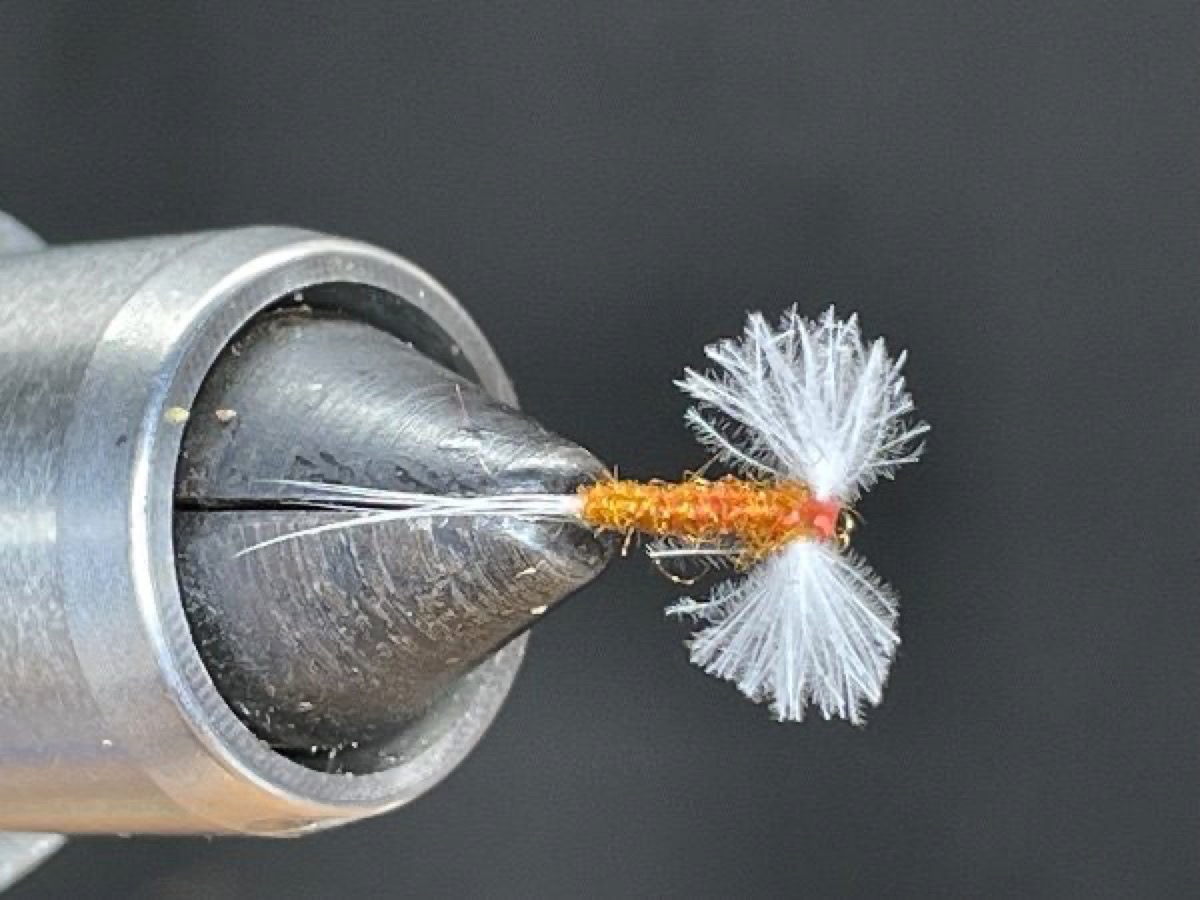 CDC Wing Rusty Spinner fly pattern tied by Brent Jones