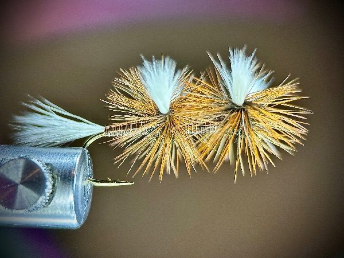 Double H and L Variant w/water walker hackles fly pattern tied by Ryan Storch
