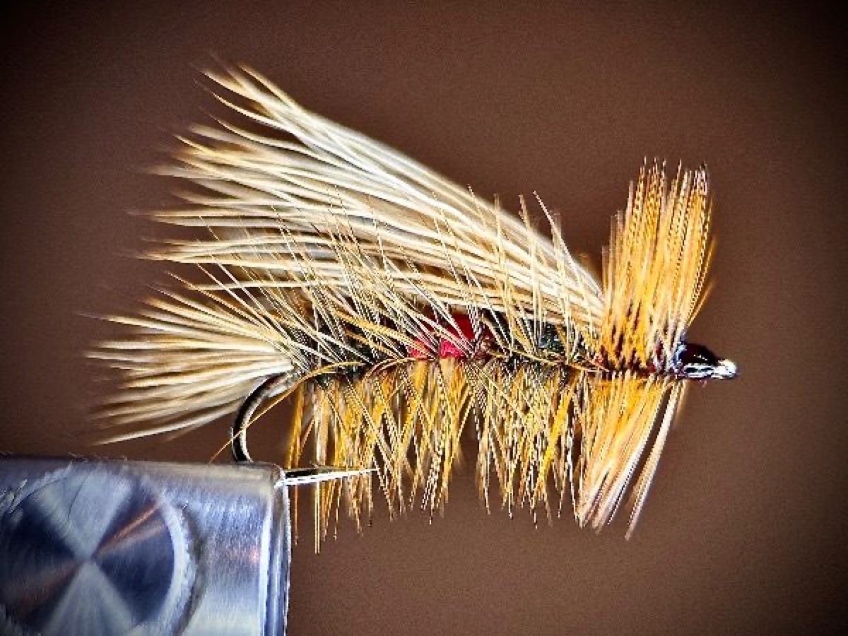 Royal Simulator fly pattern tied by Ryan Storch