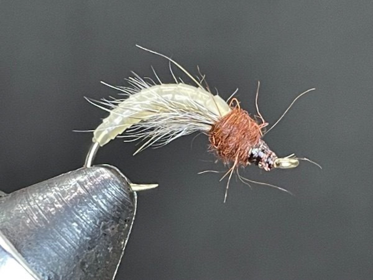 Cream/Natural Latex Caddis Pupa , fly pattern tied by Brent Jones